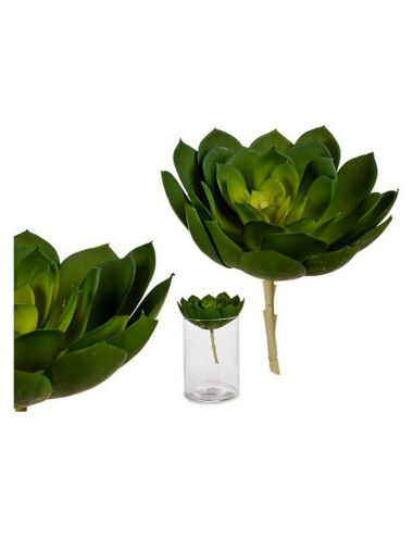 Plante décorative Plastique