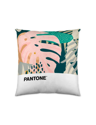 Housse de coussin Pantone...