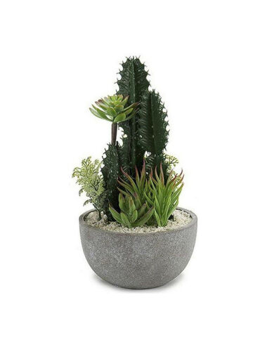 Cactus Cactus (17 x 30 x 17...