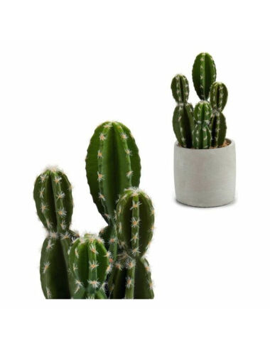 Cactus Plastique Cactus (12...