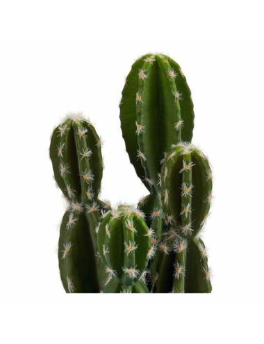 Cactus Plastique Cactus (12...