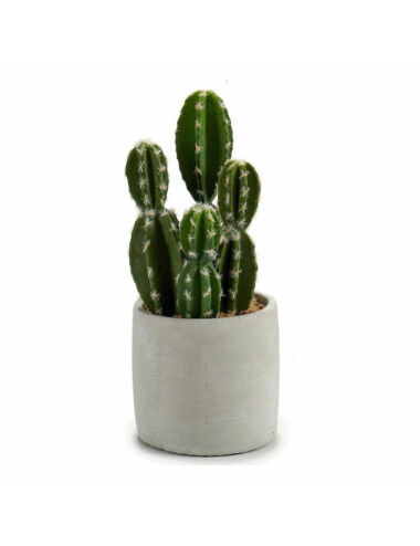 Cactus Plastique Cactus (12...