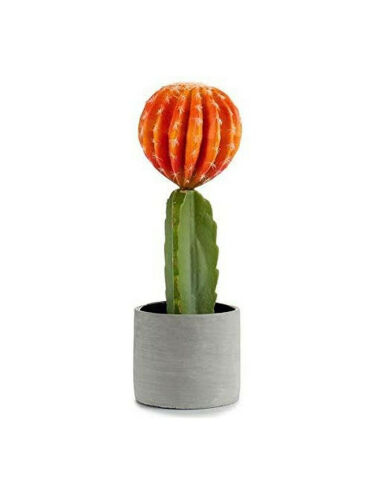 Cactus Orange Plastique...