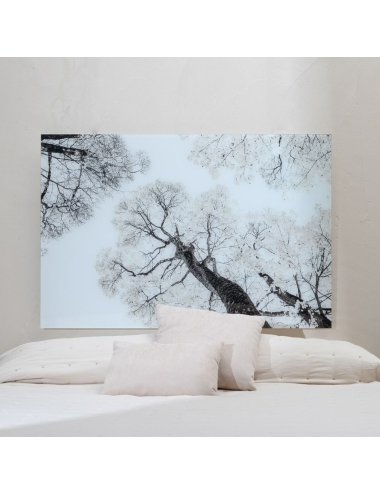 Toile Arbres 120 x 4 x 80 cm