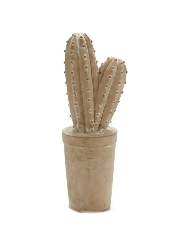 Cactus Pierre (13 x 38 x 13...